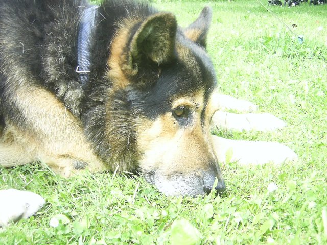 Spočívá