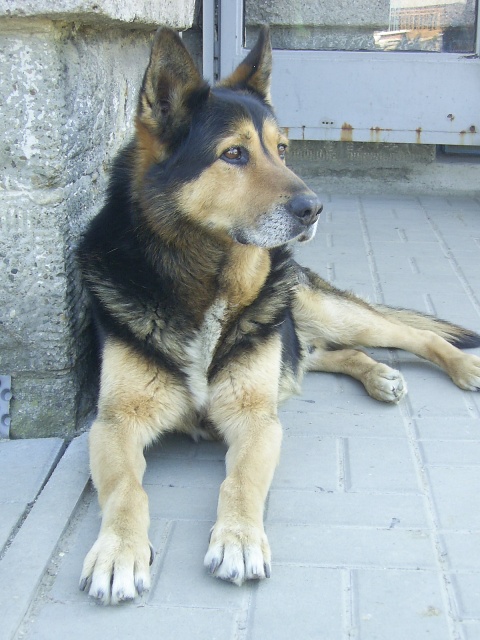 Beno