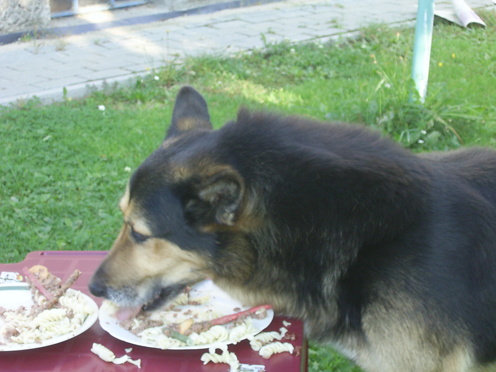 08
