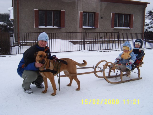 14.Šikulka